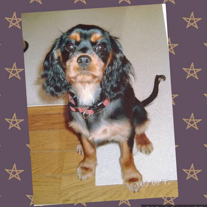 C0b667c0 87d4 495d ae80 d97e9c870dde 1547420289099