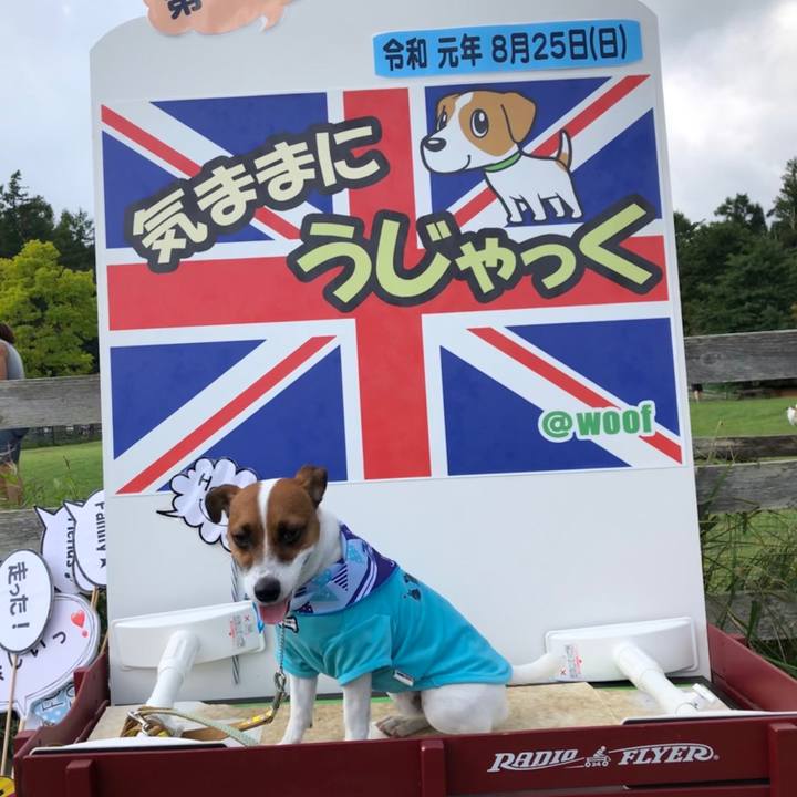 C0b68362 1766 4839 ad04 2b2ca55ce617 1566731579632