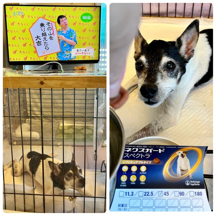 C0b69ee7 e1f2 4b77 b08c 4acec3752f73 1659306131513