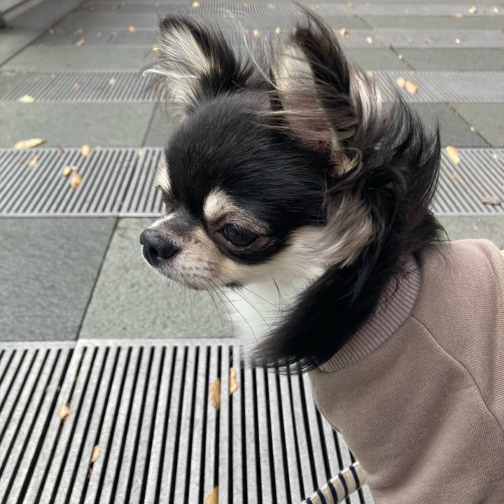 C0b6ec1e 8201 49d3 aee3 81f63ea25a6d 1606109547015