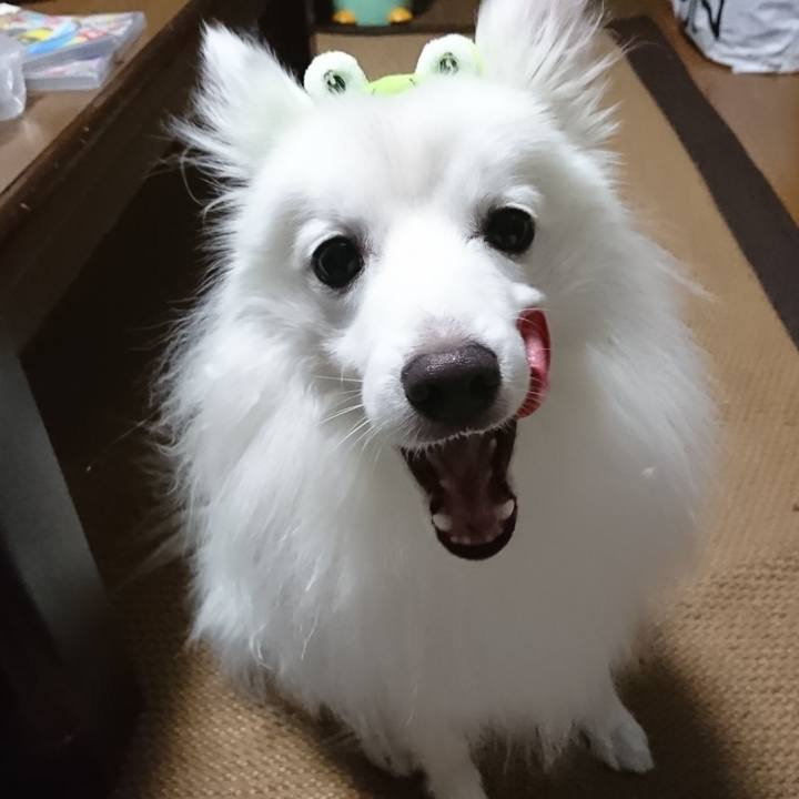 C0b6f5fe 0dad 46d7 870f 048ff0ca10a1 1578125604166