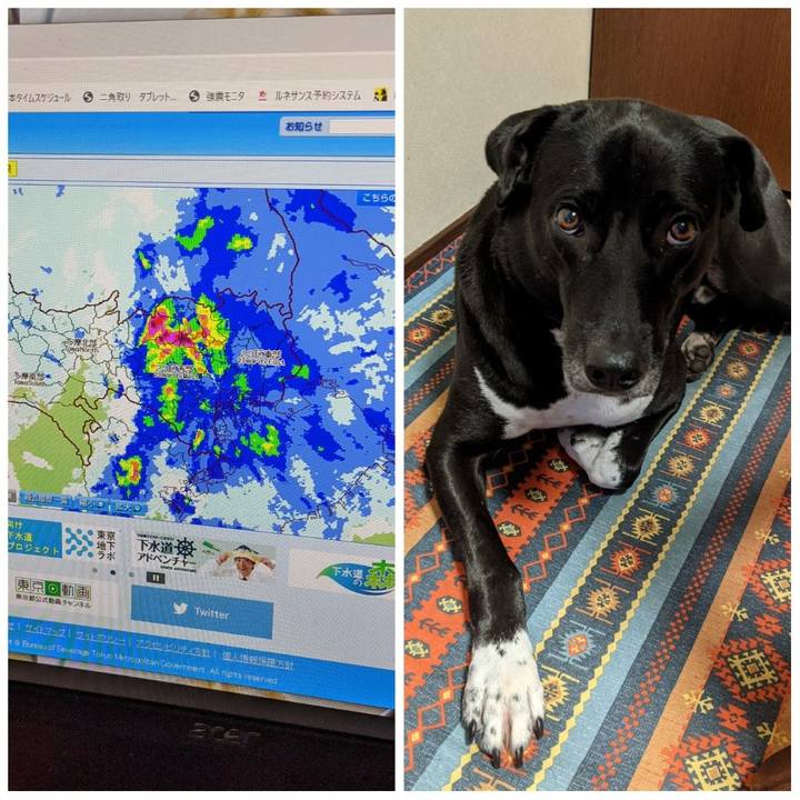 C0b7081a 9143 4360 bb70 a5b9c6b9a93e 1631922926349