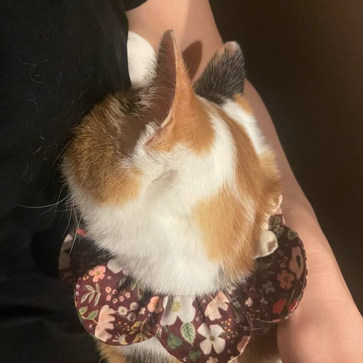 C0b726a6 4f67 46c0 a150 5a545921498d 1759846904840