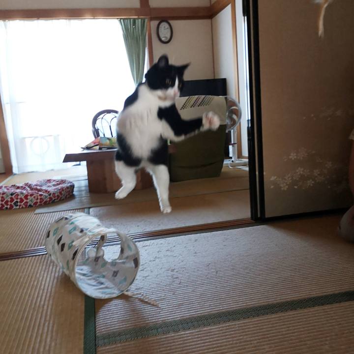 C0b72827 a281 4c94 8ec7 c0d61a6eb01c 1566016350068