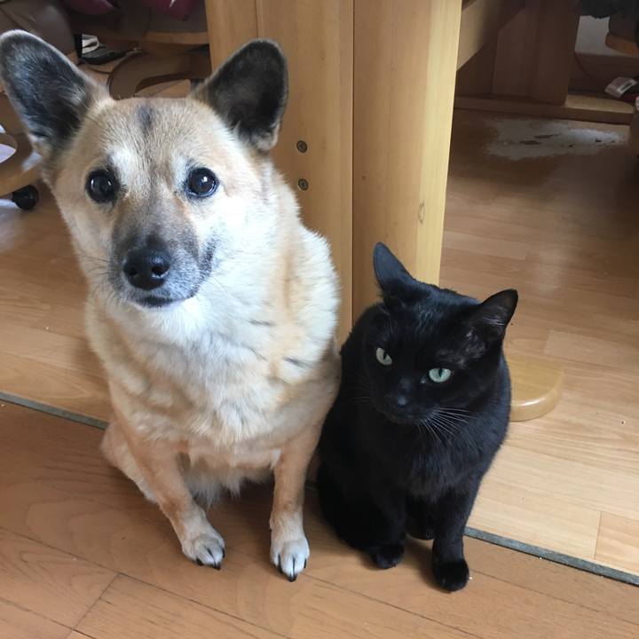 C0b72c74 fe82 4f79 8b40 36206f21fe6b 1518230963468