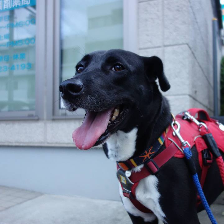 C0b74116 8a18 42df a745 8ba8456d5111 1596278330085