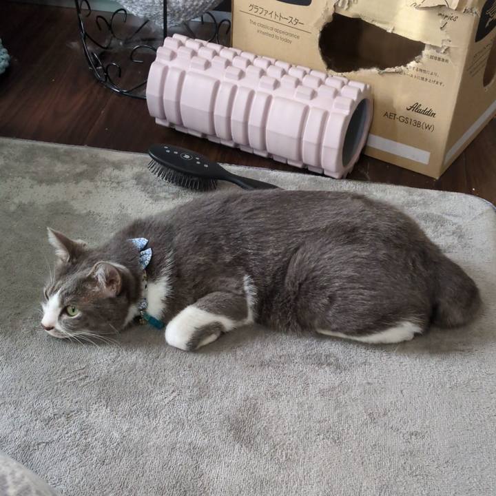 C0b758c7 455e 402d a7b7 231f7e39f896 1732680063927