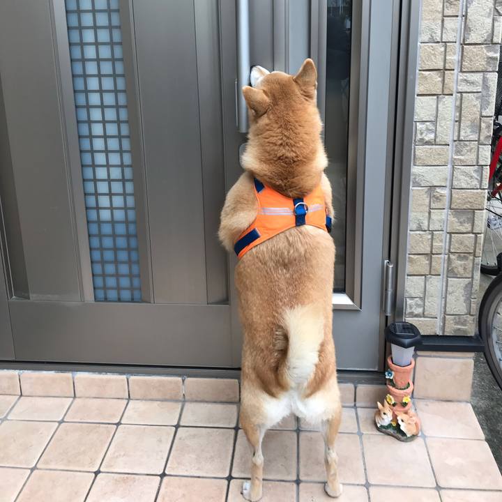 C0b76e7e 3d18 4e3a 8055 b7c1813a6837 1512700434141