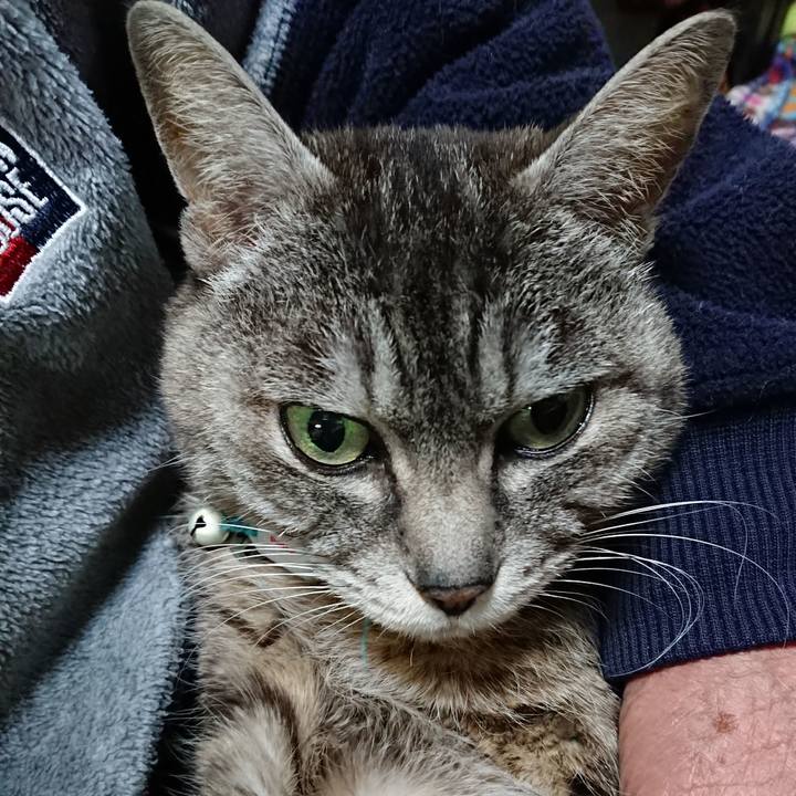 C0b77067 1c48 49c8 8f49 25edf73dfc37 1553856734566