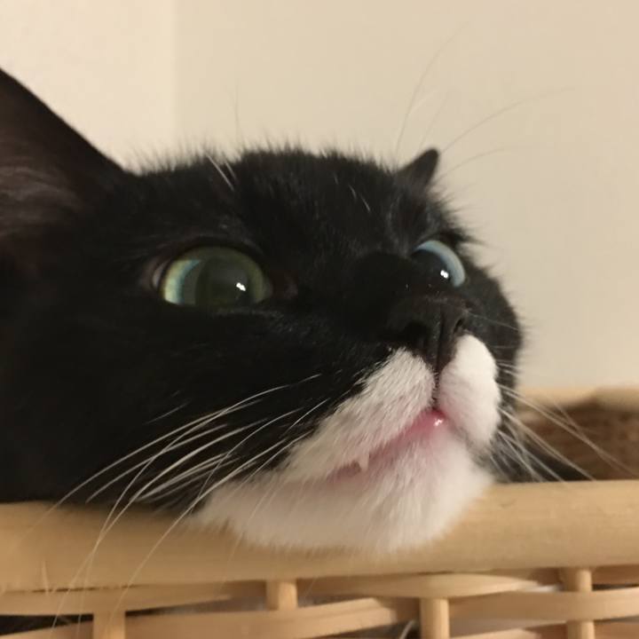 C0b7974f e84b 4440 990e 00b91c78406b 1529164463885