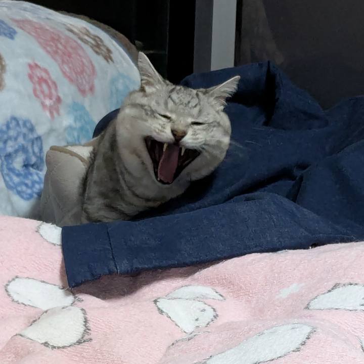 C0b79ae2 4fb9 47a5 b8a7 29f45f091393 1764347802197