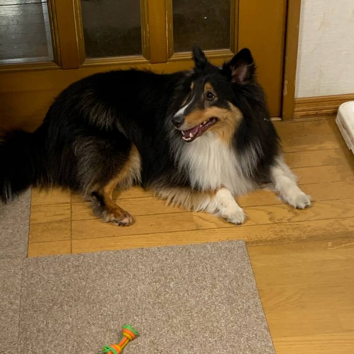 C0b7cb00 e02c 48ca 9579 f77c55c4f79a 1590011623373