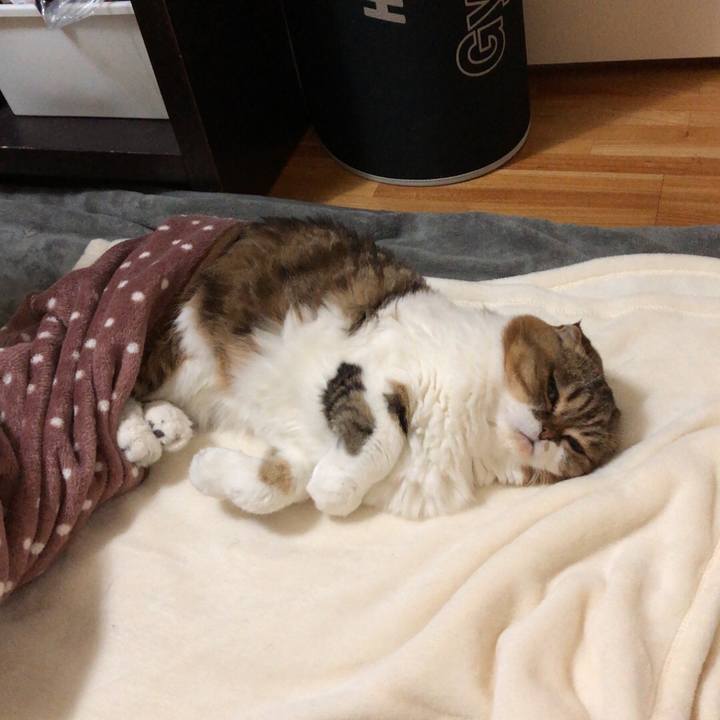 C0b7da6c d0ec 48e3 8b04 5ea42bbc58c4 1540255130897