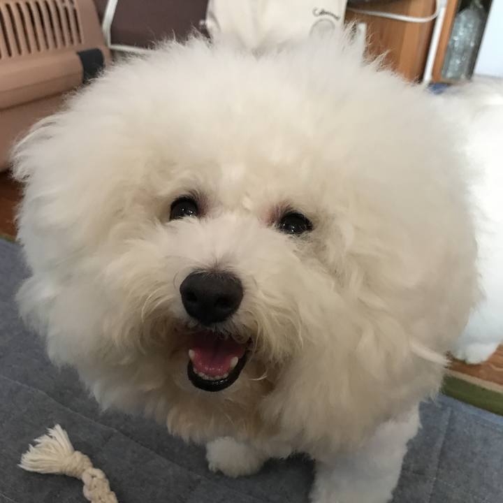 C0b81e7d 8c15 42e2 ad11 d23453d4eefb 1533961667964