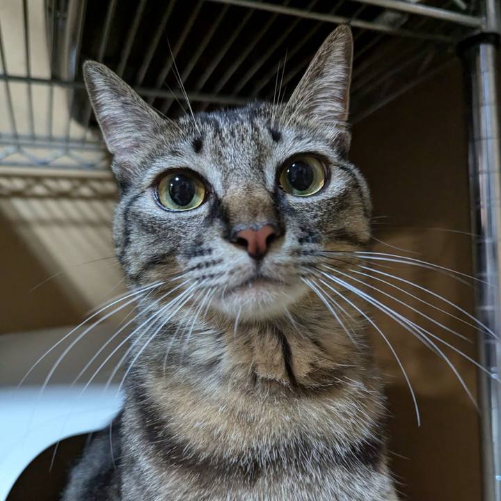 C0b81f47 76ca 4a55 a5bd 1ef71bd48990 1731391345193