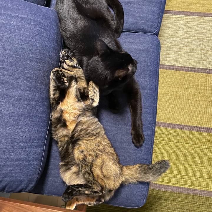 C0b846e2 93f3 4e5b b641 0780eb060d79 1661089352089