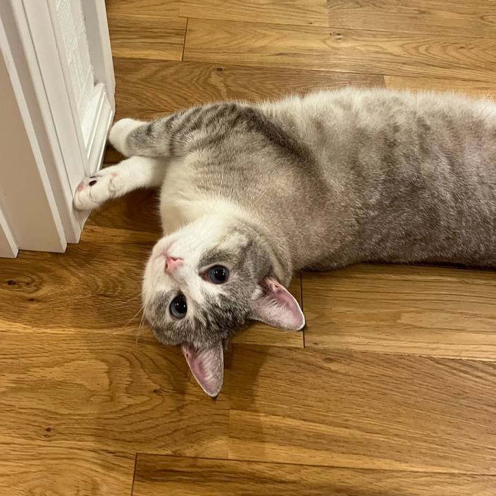 C0b87061 dced 472c ae59 a35dcc983804 1695872481783