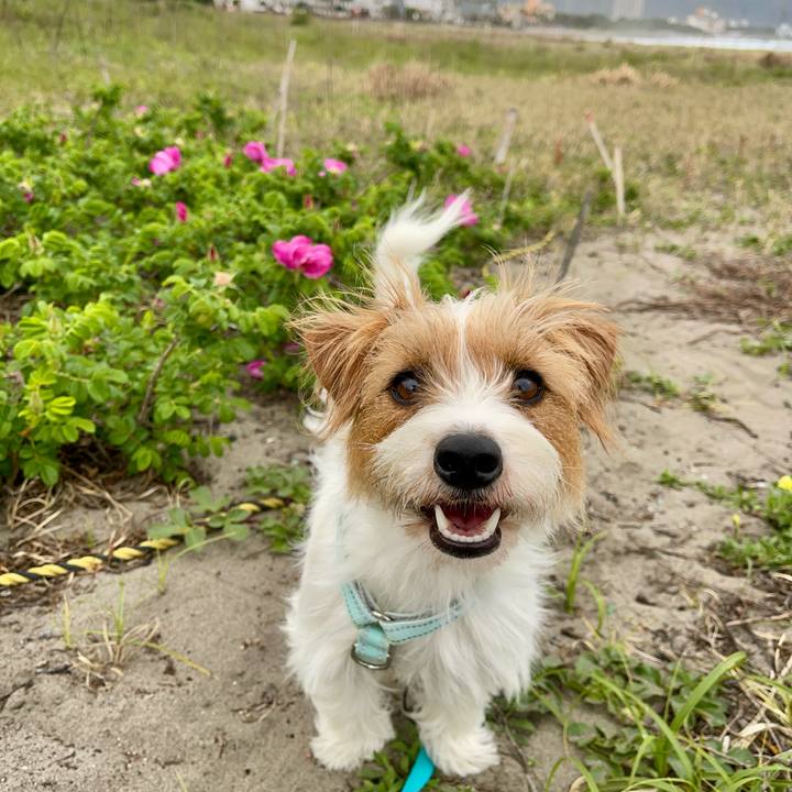 C0b87879 75ed 4379 ad77 d5c1a7878898 1776852353478