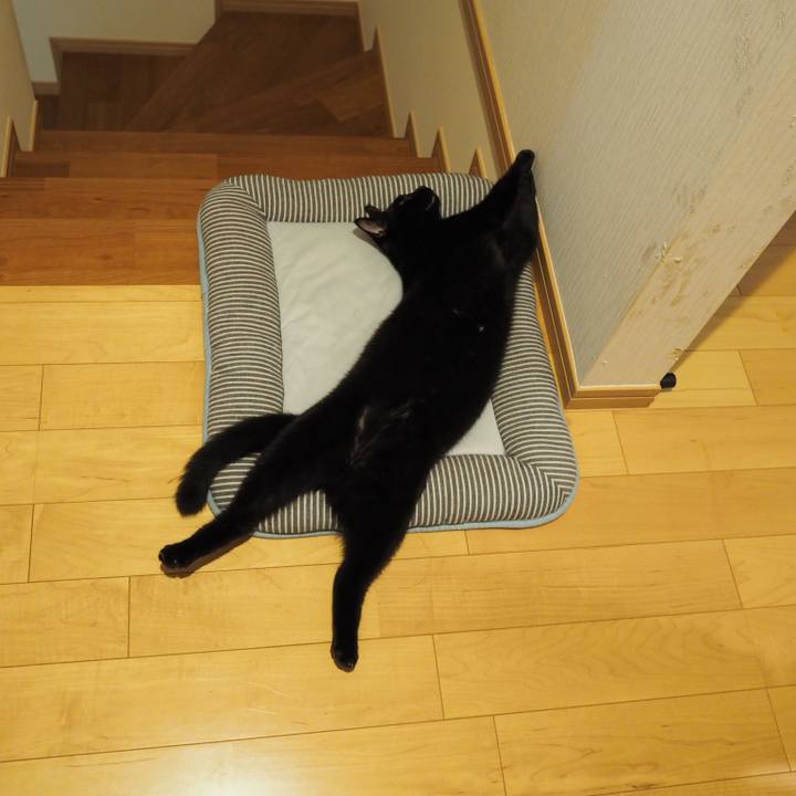 C0b87a5a 3fdc 421a 8584 b52bea5ed5ea 1556767629468