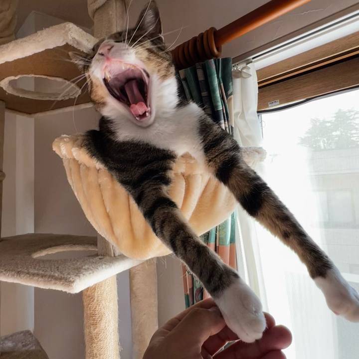 C0b889f7 fa19 4607 b03f a7b0b21efcac 1754259761730