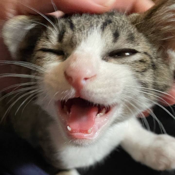 C0b8a641 b40f 4348 b6a7 445911240f8b 1722654335141