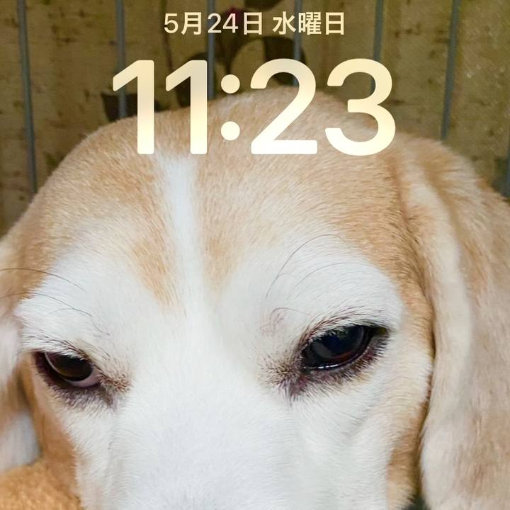 C0b8a833 589b 42f4 bd66 d2bbd8962688 1684895097407