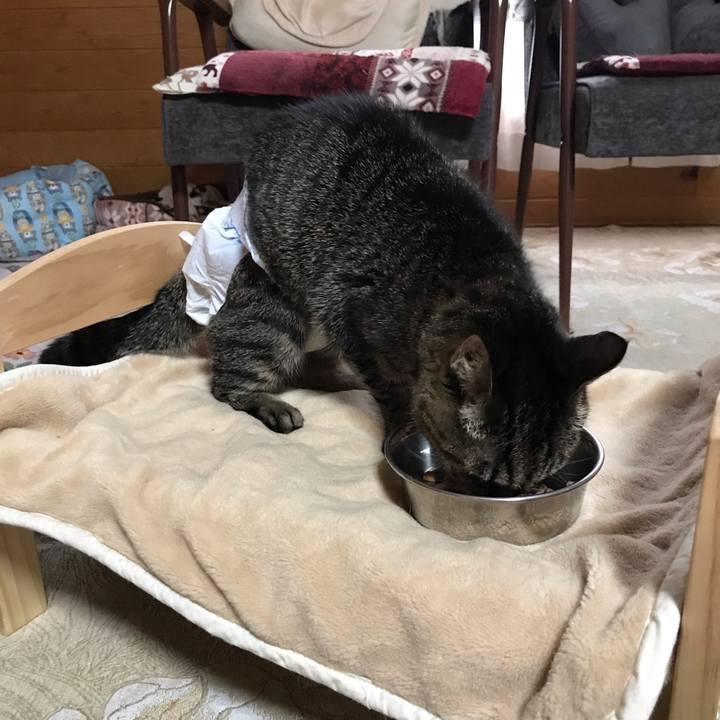 C0b8b9cd d048 4a79 8453 2df3d33f6197 1543622371139