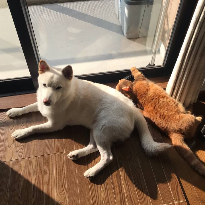 C0b8d401 c180 449d 9056 478bc793b011 1567725556813