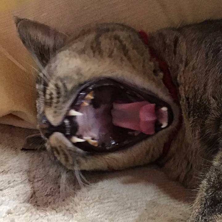 C0b8e3c0 2657 4b5b 882e 7288ab9278ef 1702027893868