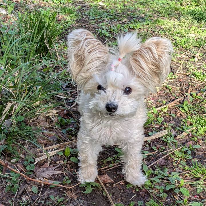 C0b8f64d 8efc 44d1 8609 ee860c983d5c 1776896899185