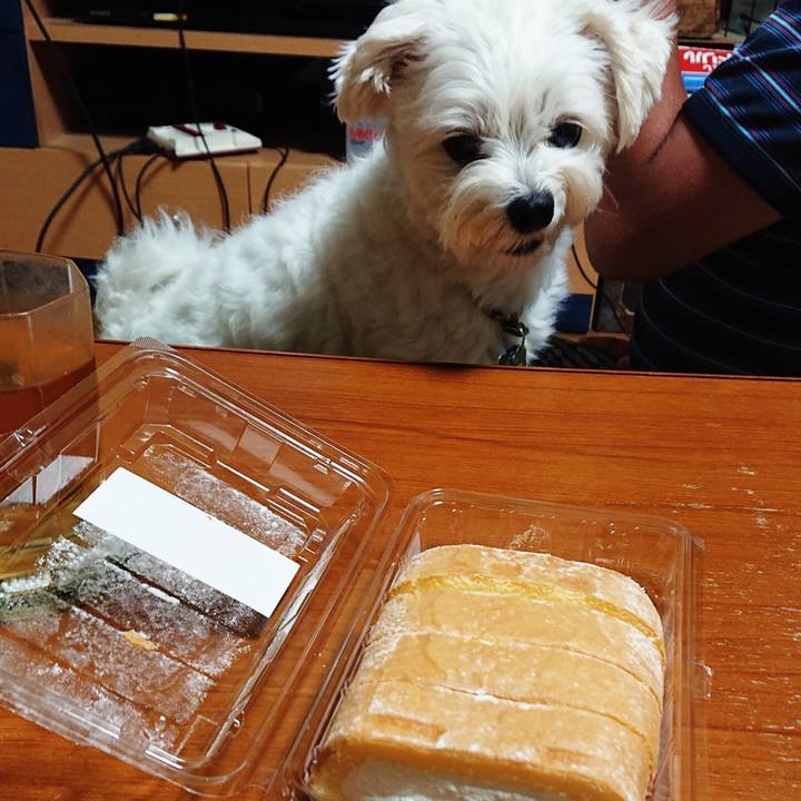 C0b9152d 5044 4b76 8c56 c059fa92f81a 1531914173139