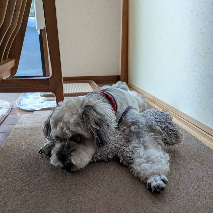 C0b92419 a4b7 46b1 a165 00b8d20503f5 1753494944974