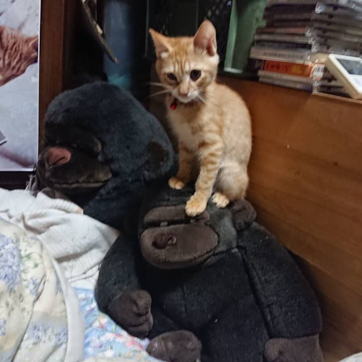 C0b92c73 52d7 463e 8bfd a1fd6f93f0d4 1632054907693