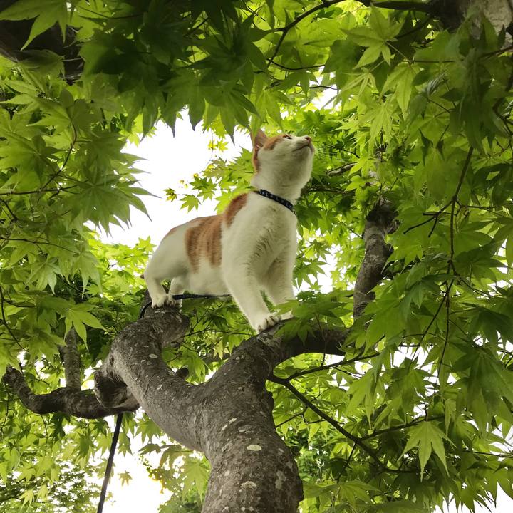 C0b936c6 3c2d 47c6 bb1f b44e0ac0be83 1525947202349