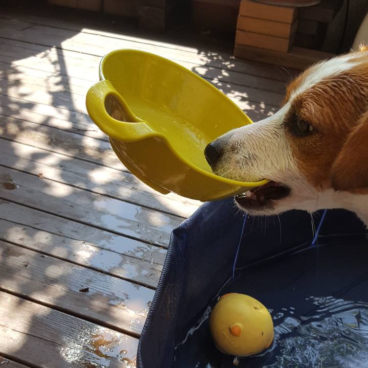 C0b9caea 88d7 4988 94e6 62a7e1e70994 1566007192442