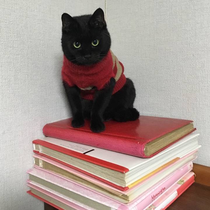 C0b9e20a 262d 4f6b ae4e a7b9251db9e7 1695811761577