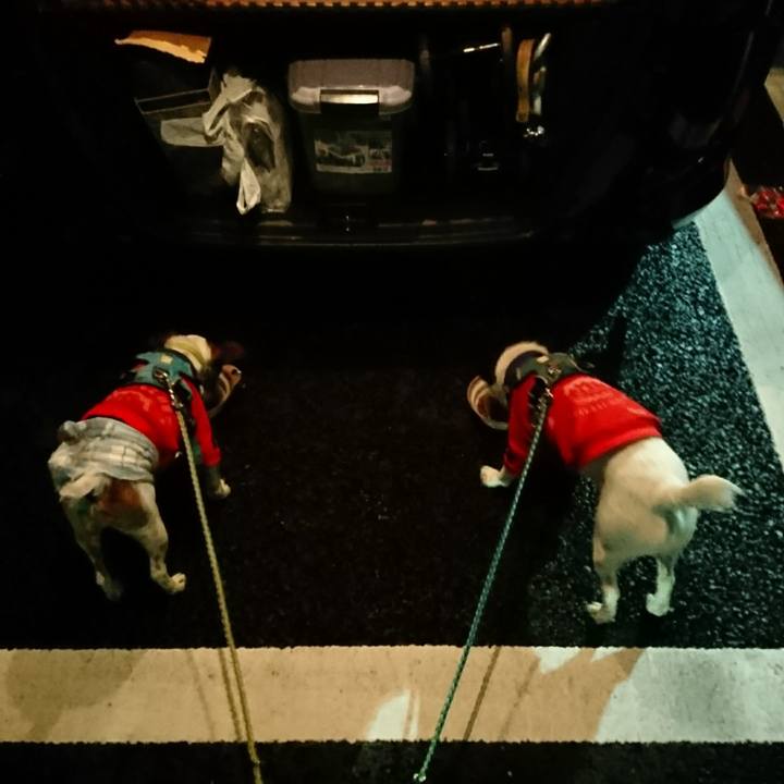 C0b9fd44 a042 478f a787 49222fdb489d 1605869318293