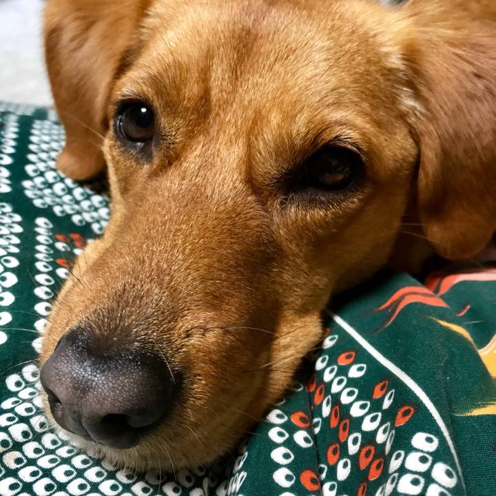 C0b9ff40 c477 4d4b a5b3 917b949dfa82 1523960074368