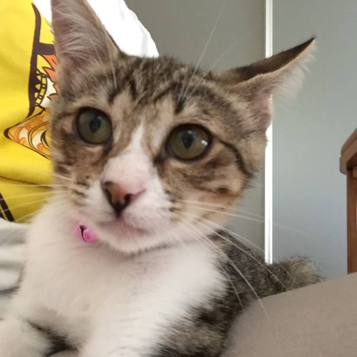 C0ba05bc 4e05 4b6c 8ec8 ca89a3bdc087 1536307322364