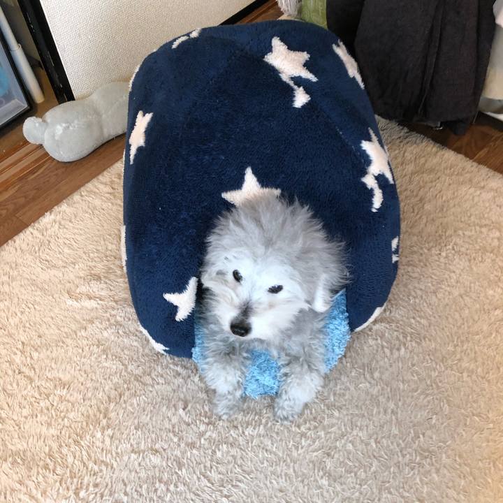 C0ba1a52 e3db 410b a6fb 0f066c4609ca 1615507547405