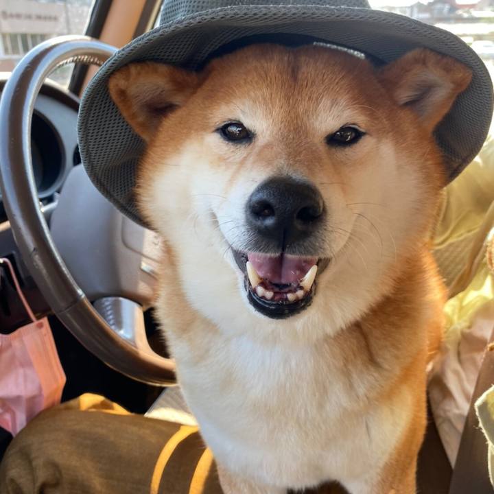 C0ba69a5 87ce 45fd a2e6 46f94f519ae2 1622649310840