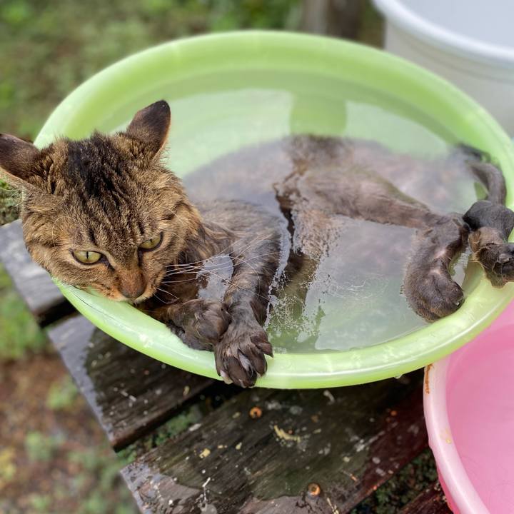 C0ba6bee e4d0 44d7 813b 809e4f4bfaa2 1662339747363