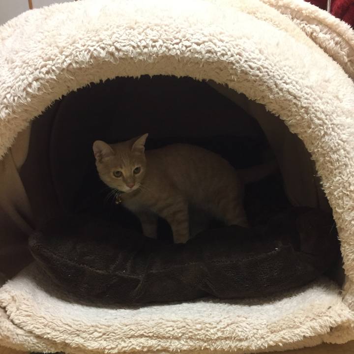 C0bb06a5 0483 4778 890f 38ac82e886fb 1546863715295