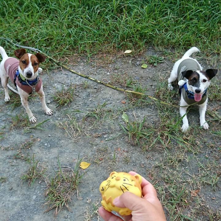 C0bb0f7d 5708 4380 b2e2 ff3fe7f1b918 1565128498351