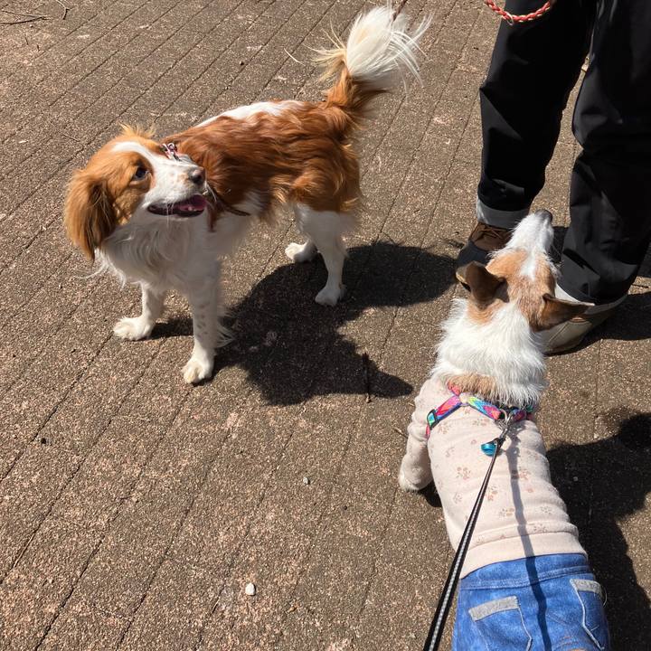 C0bb2329 ad0e 438b a3b8 d9f7cebf9721 1710718066393