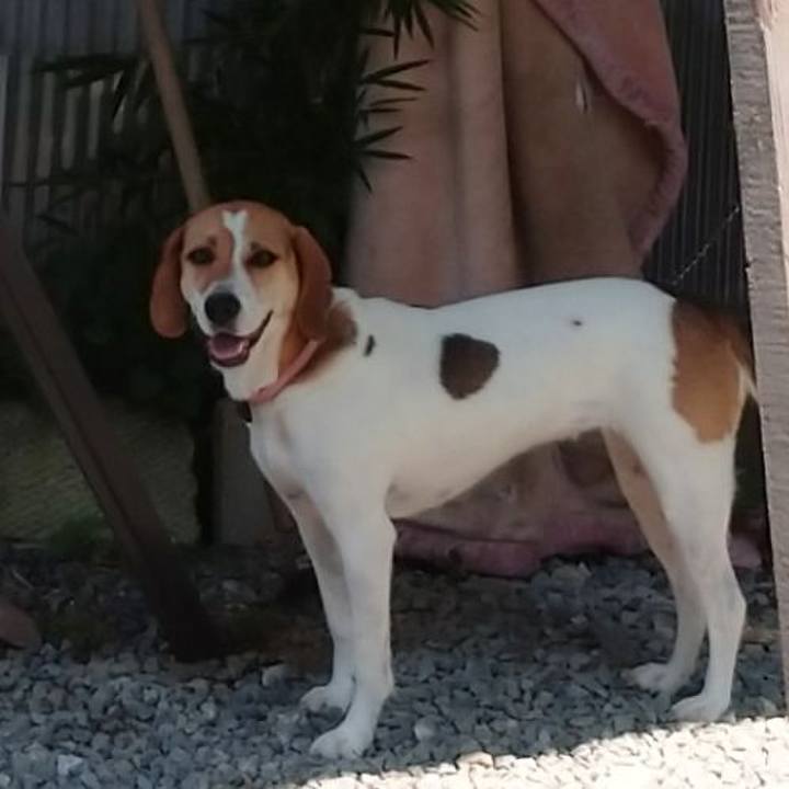 C0bb32eb e834 4820 ad2f 97b0e628f834 1596347980071