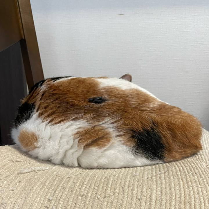 C0bb4a3b 072d 4a8f 9067 4c63547f21a5 1699367999286