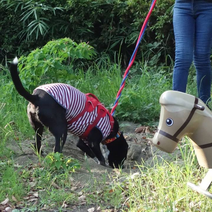 C0bb836d 6dc1 46b0 af3c ce4ebd0f64b6 1598573230410