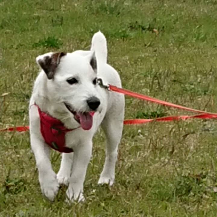 C0bbd7ef d731 448b 8e1c d7332c823f71 1555716410341