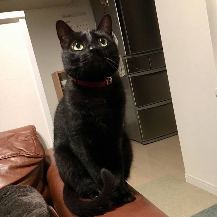 C0bc5683 4e0e 4ac8 aebc 4e0fbdbfc432 1529331414748